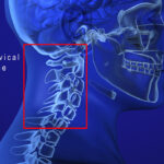 Cervical Spine