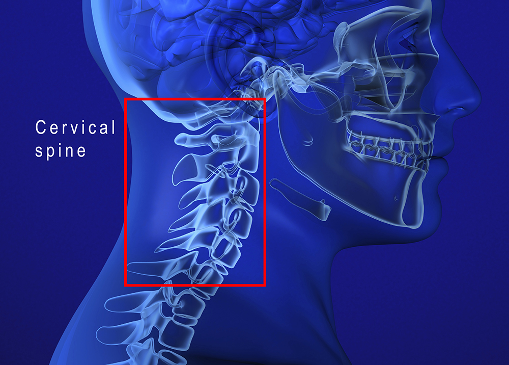 Cervical Spine